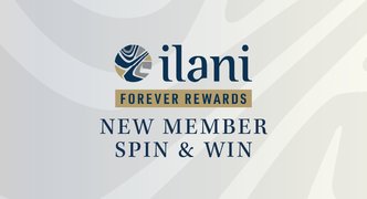 New Member Spin & Win